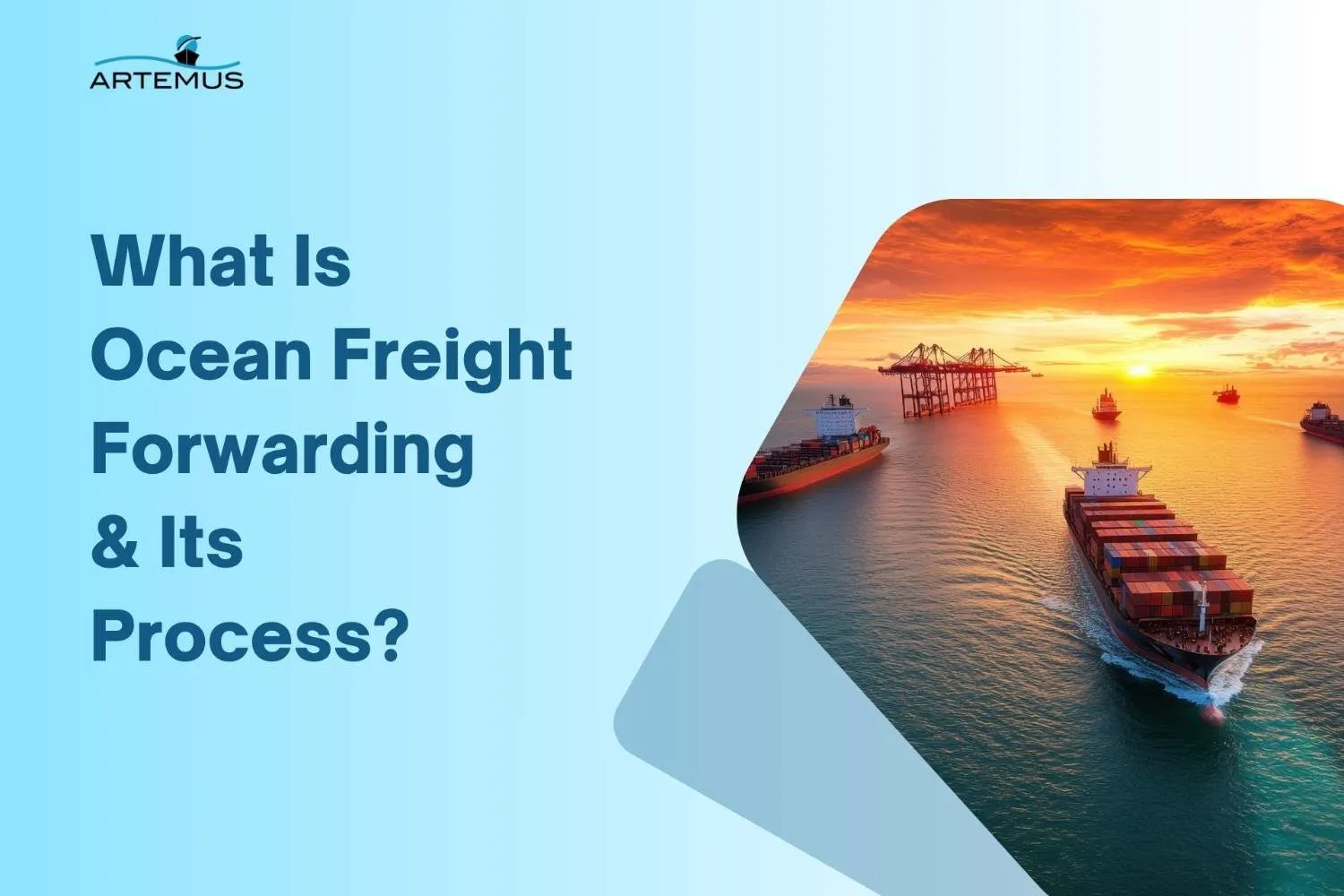 What Is Ocean Freight Forwarding
