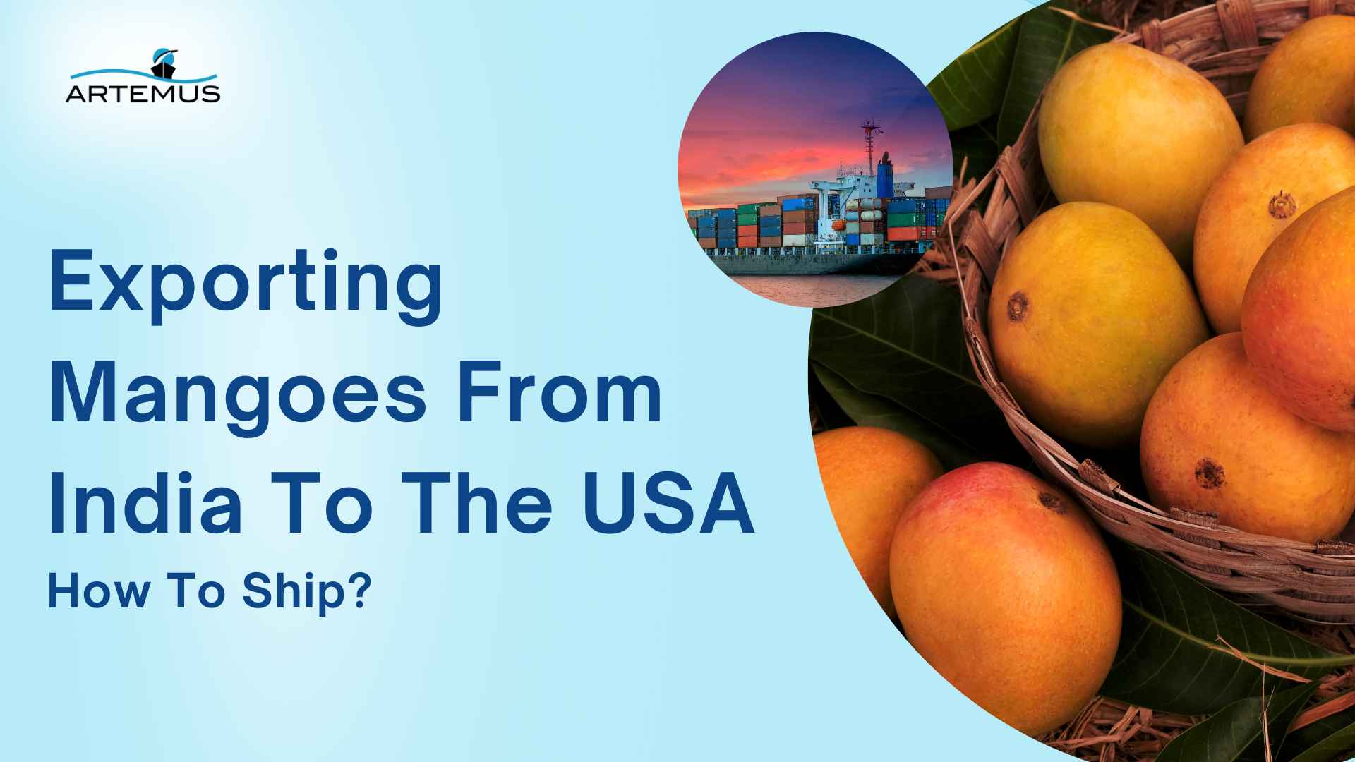 Exporting Mangoes From India To The USA