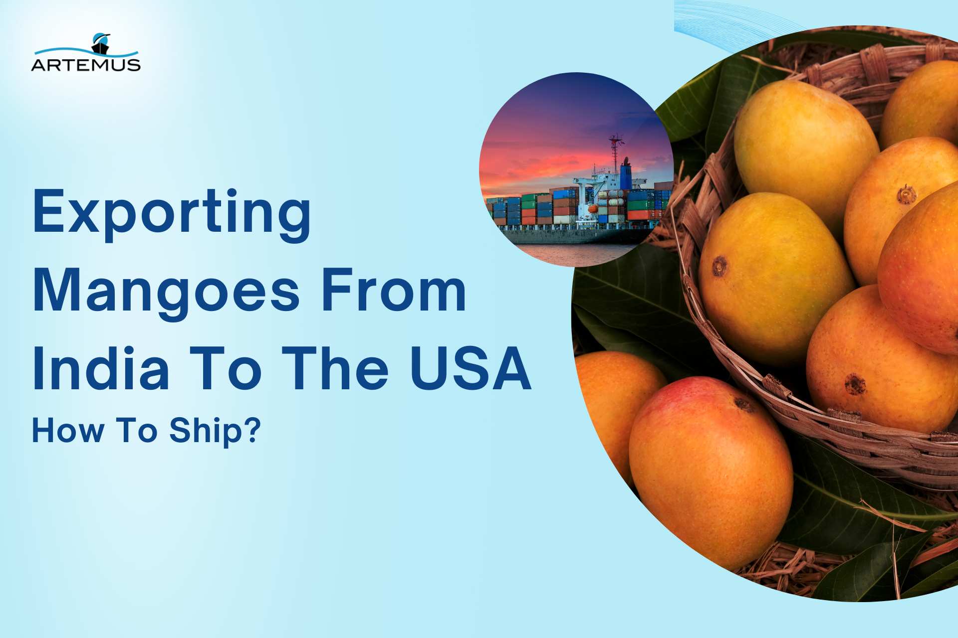 exporting mangoes from india to usa