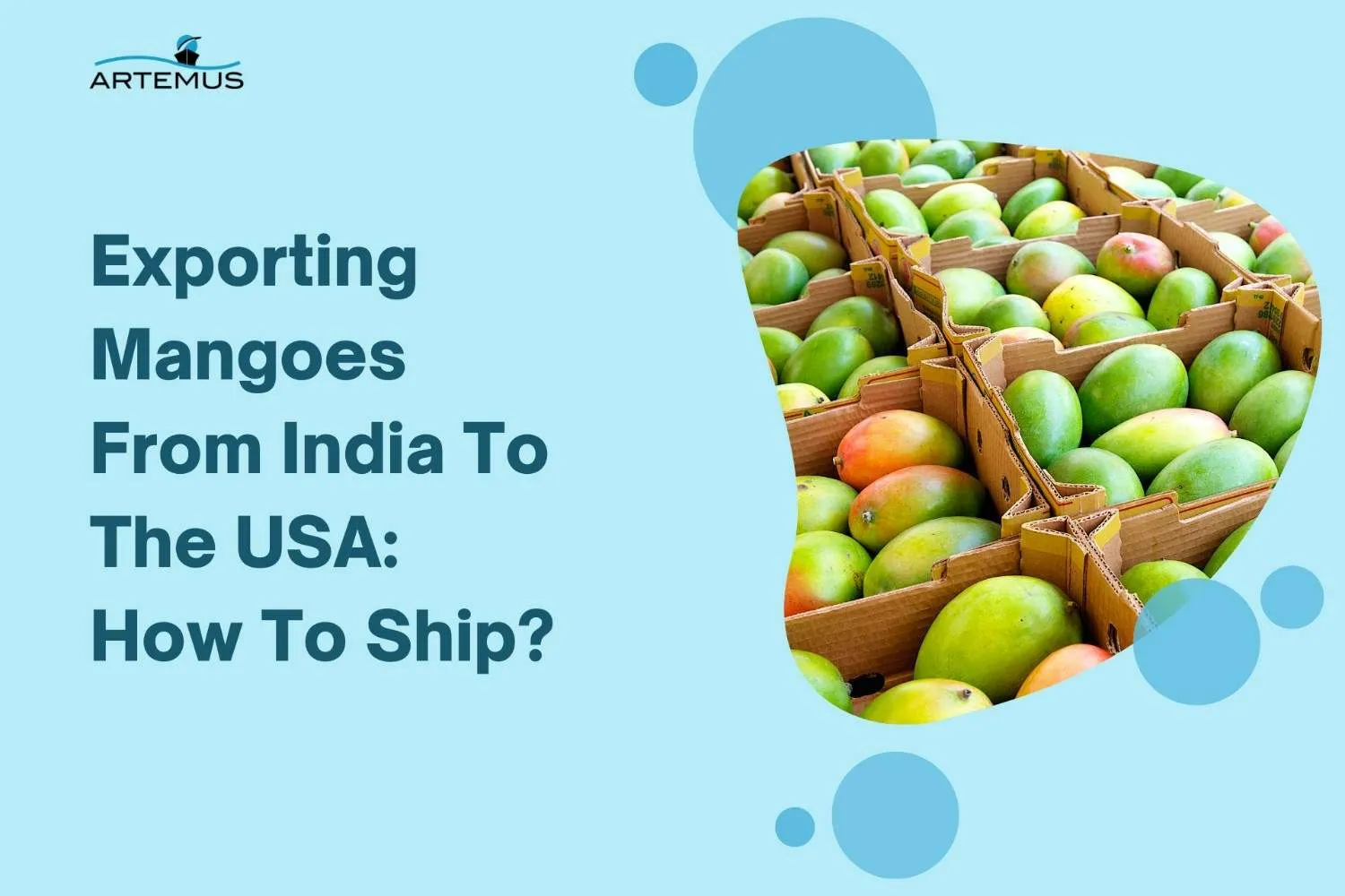 Exporting Mangoes From India To The USA