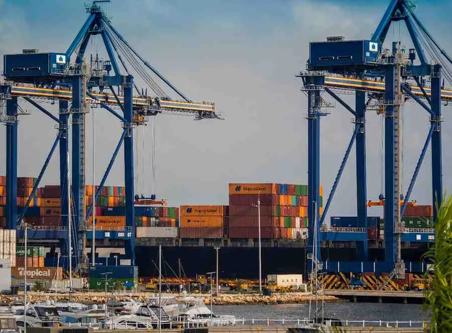 Exporting Mangoes From India To The USA