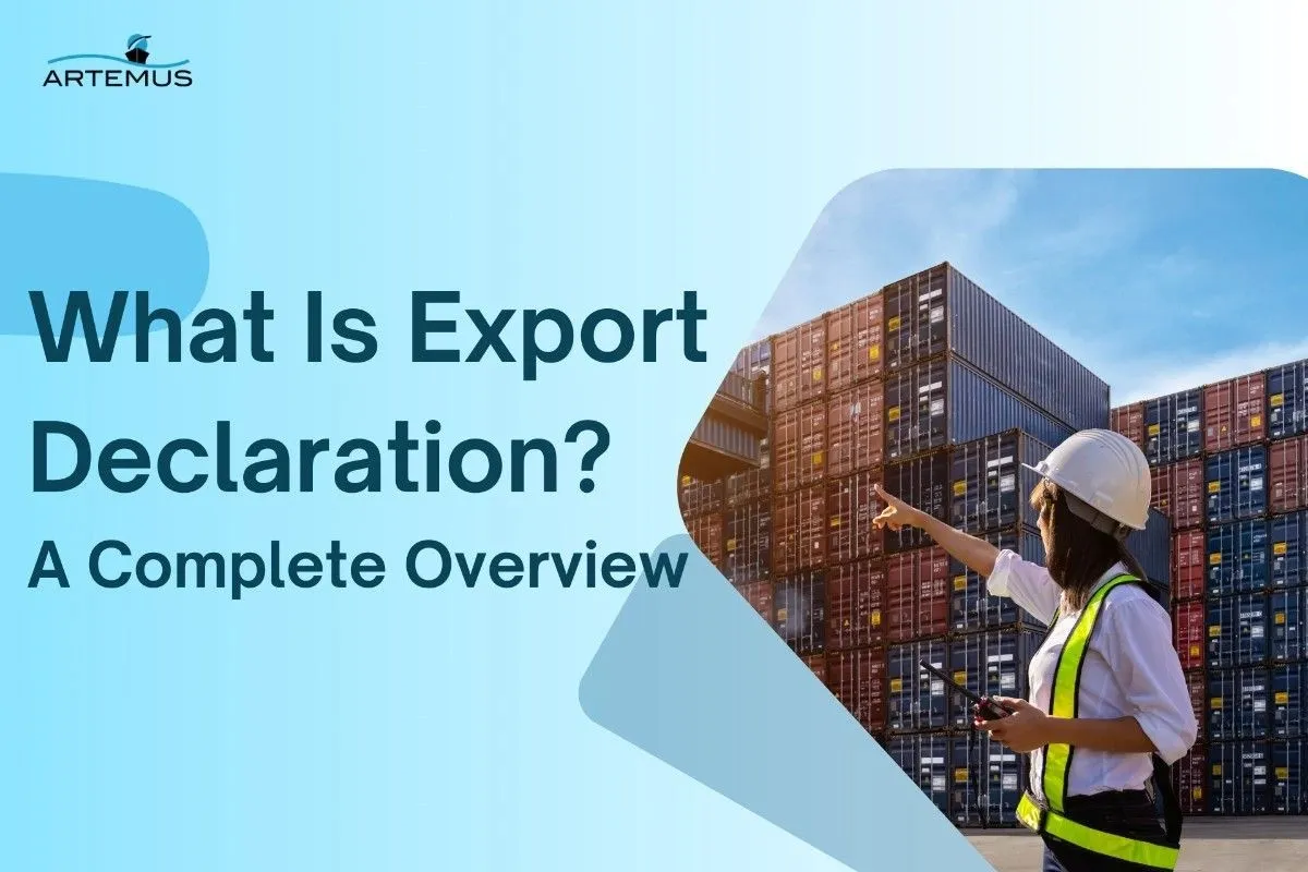 What Is Export Declaration