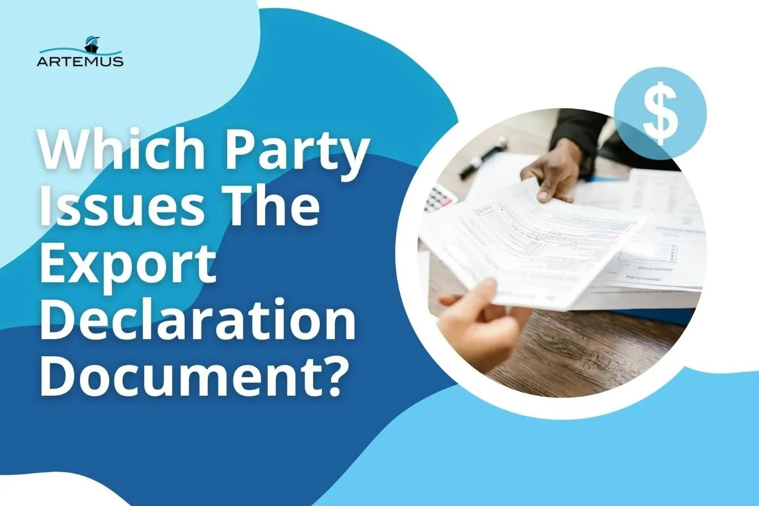 Which Party Issues The Export Declaration Document